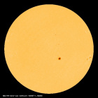 SDO/HMI Continuum Image of the Sun